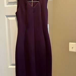 Calvin Klein, Plum knee length dress, size 4